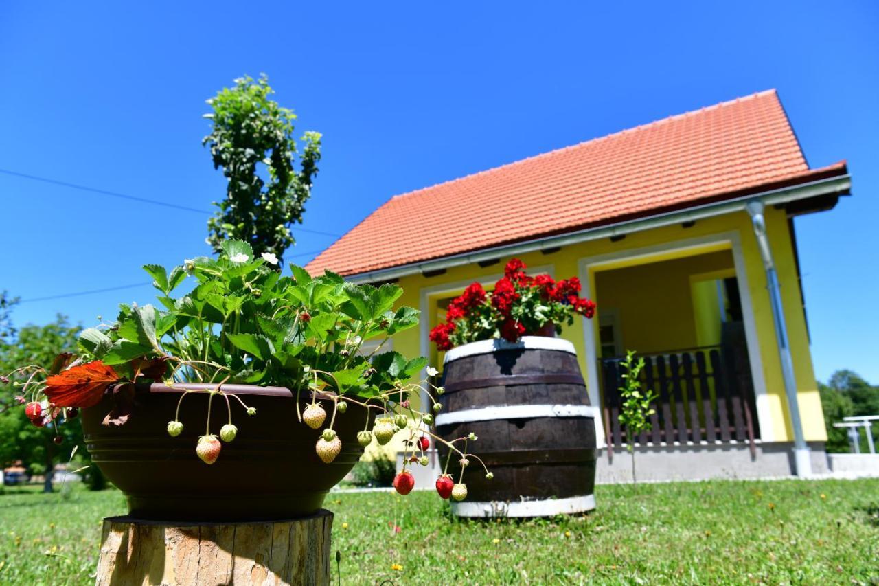 Apartman Vito Saborsko Εξωτερικό φωτογραφία